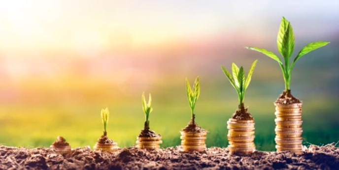 Seedlings growing from progressively taller stacks of coins.